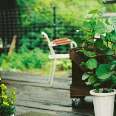 开云·体育(KYSports)截图