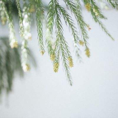 2023澳门资料大全正版下载手机版