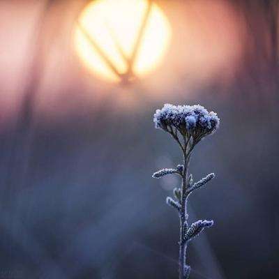 开元娱乐app官网版