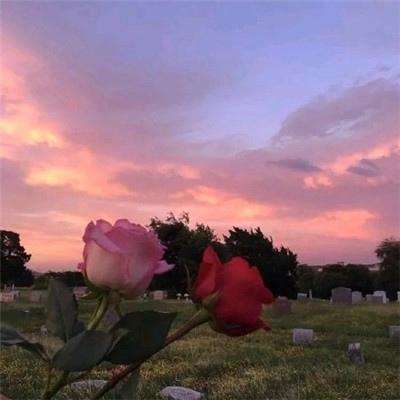 爱游戏平台手机app下载