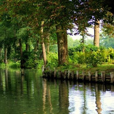 BoB体育平台手机下载