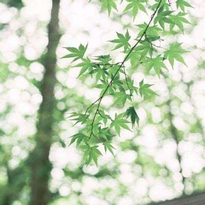 亚博AG娱乐下载手机版