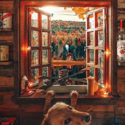 足球赌注软件app下载