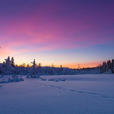 开云登陆-登录入口
